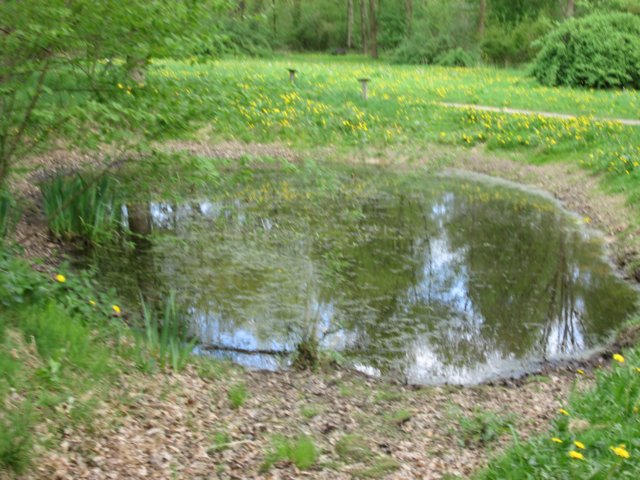 img_1338.jpg