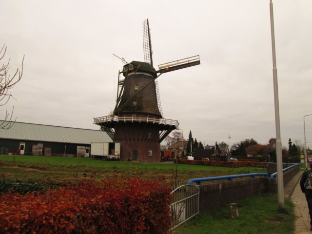 img_5349.jpg