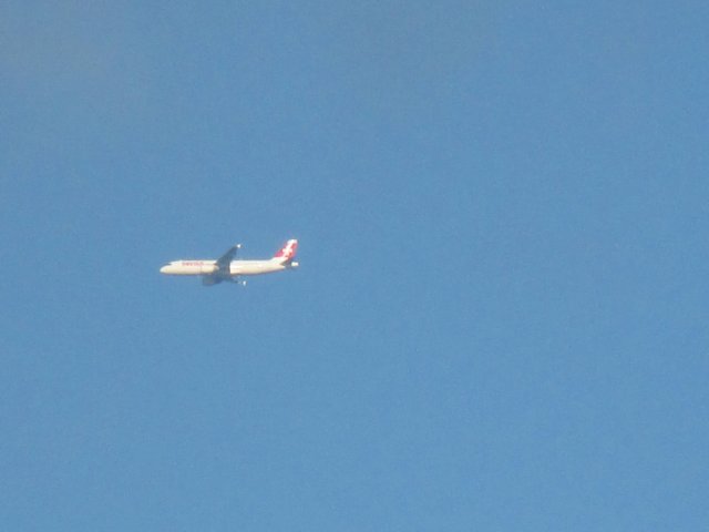 img_3617.jpg