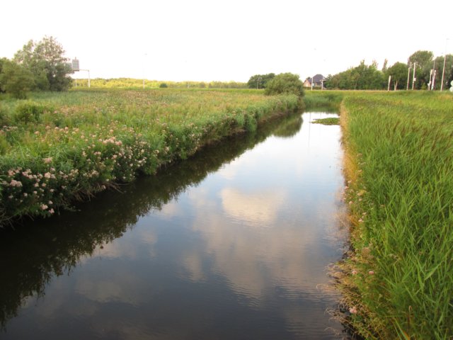 img_3629.jpg