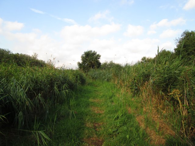 img_3632.jpg