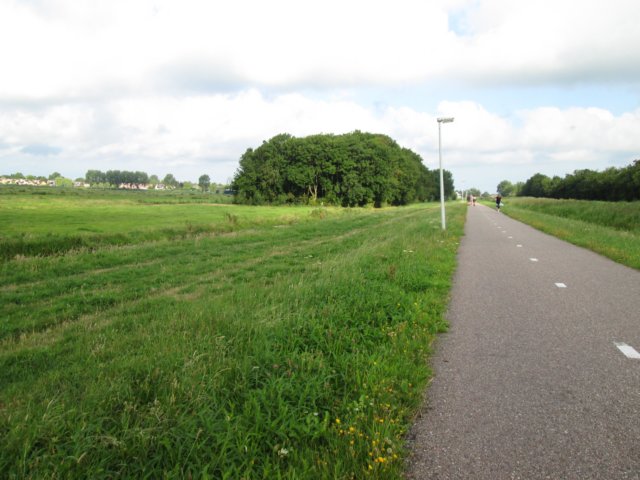 img_3646.jpg