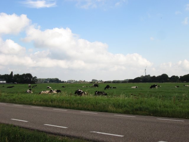 img_3682.jpg