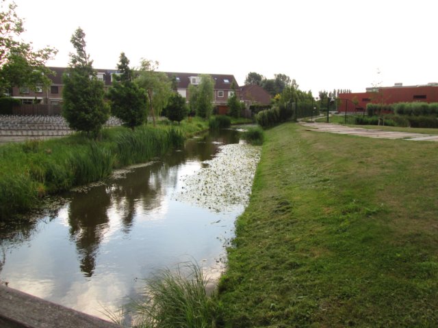 img_3696.jpg