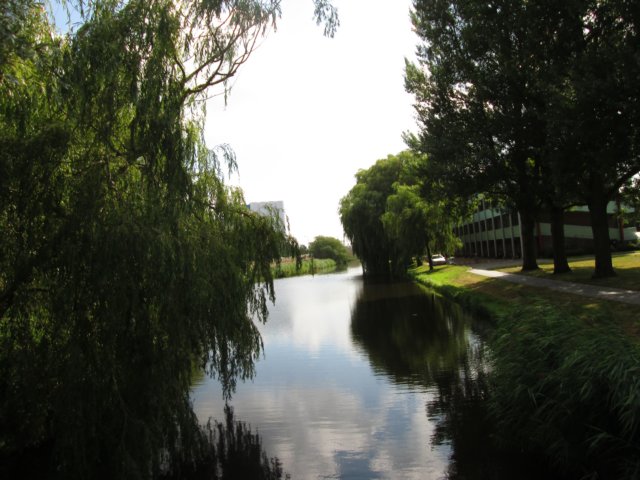 img_3720.jpg