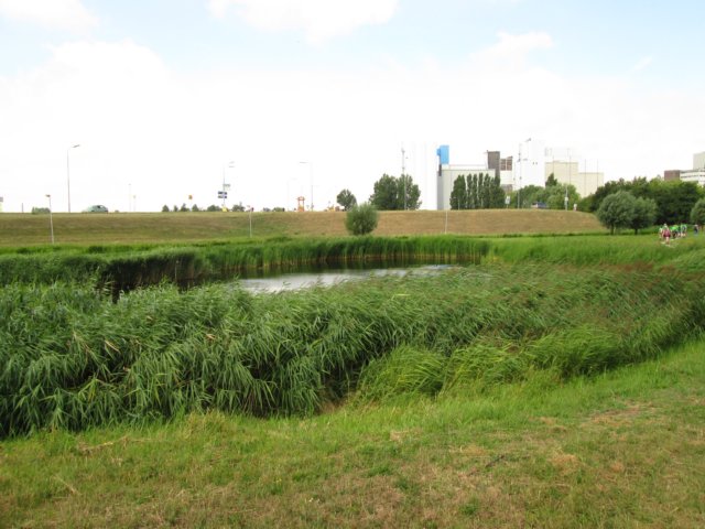 img_3729.jpg