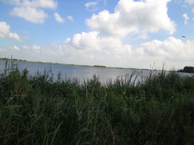 img_3738.jpg