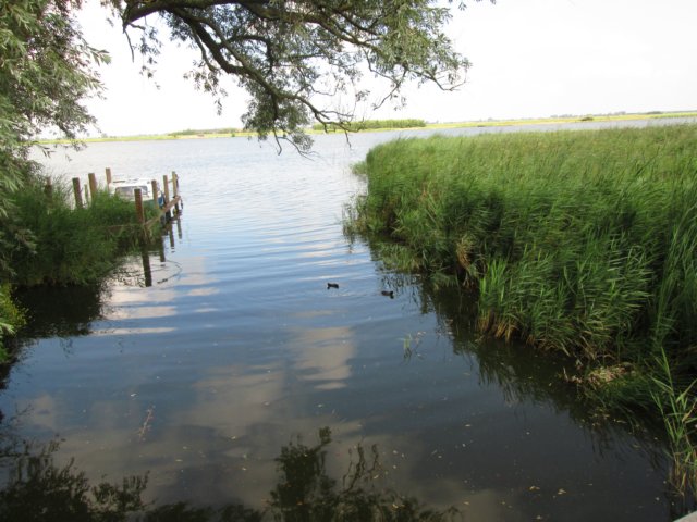 img_3746.jpg