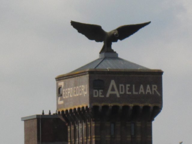 img_3766.jpg