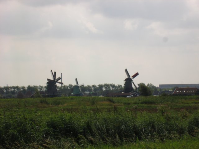 img_3771.jpg