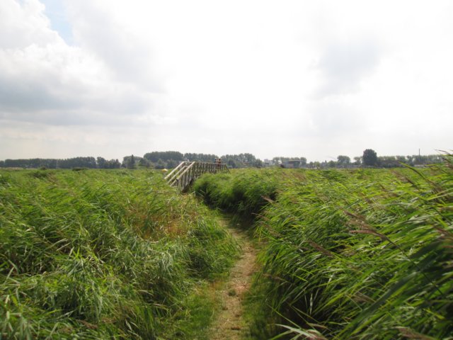 img_3781.jpg