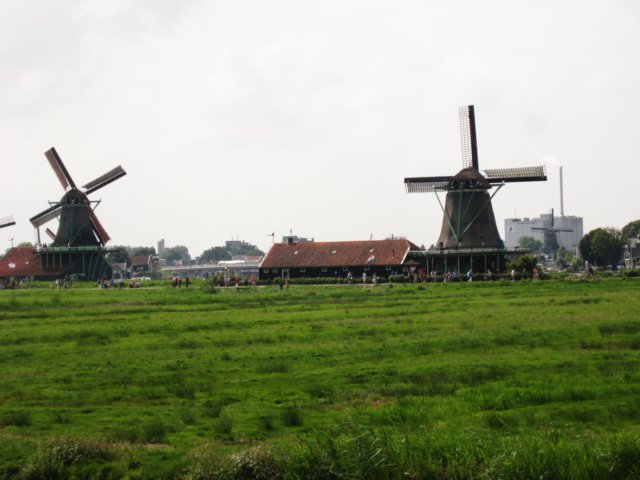 img_3782.jpg