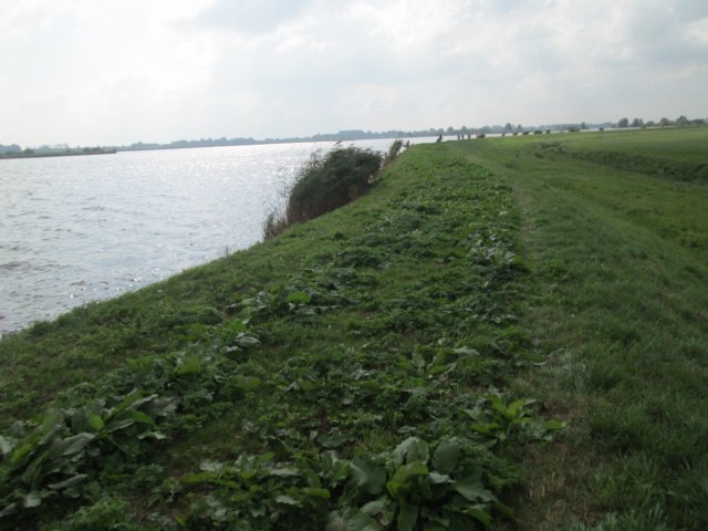 img_2849.jpg