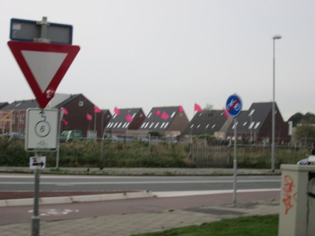 img_3444.jpg