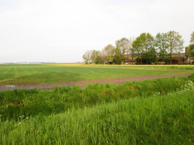 img_8715.jpg