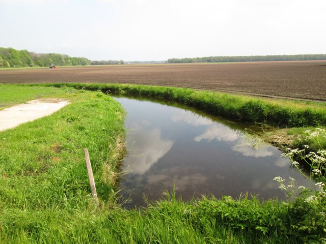 img_8765.jpg