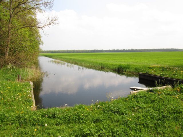 img_8770.jpg