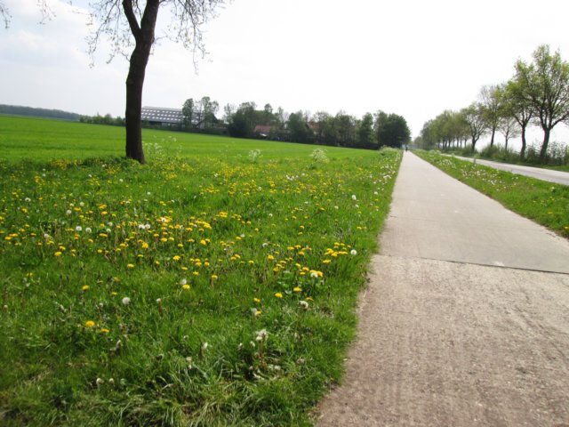 img_8771.jpg