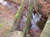 img_6998_small.jpg