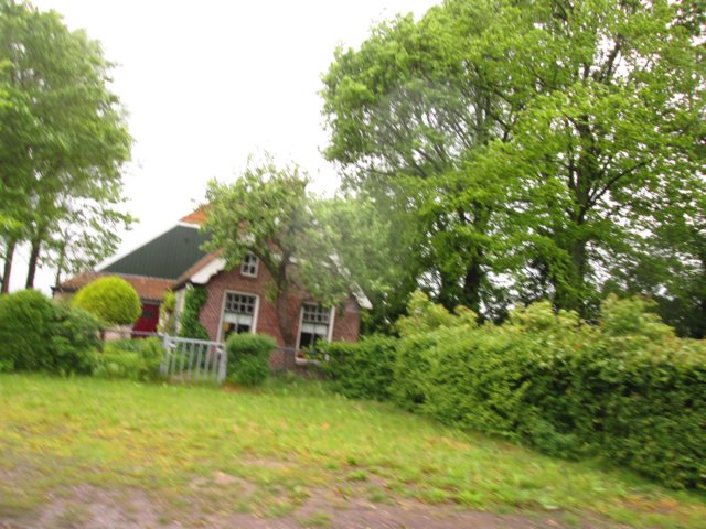 img_8898.jpg