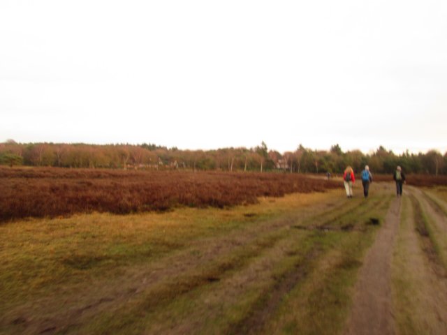 img_6296.jpg