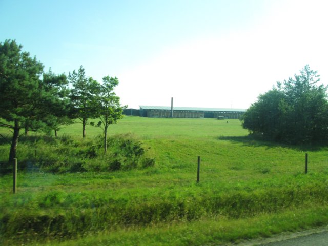 img_1092.jpg