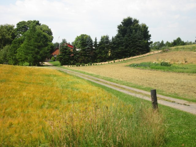 img_1222.jpg