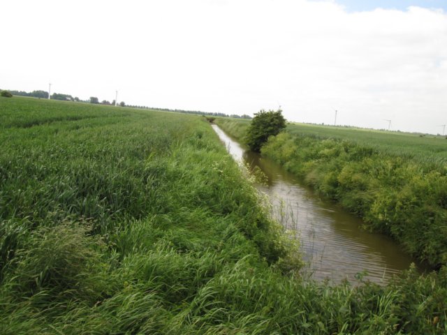 img_9682.jpg