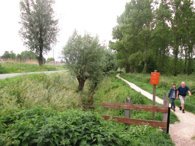 img_9334.jpg
