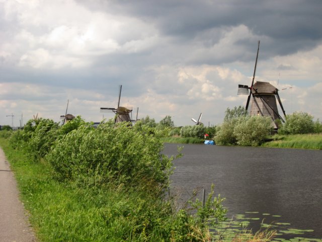 img_9447.jpg