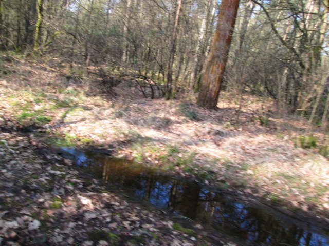 img_8063.jpg