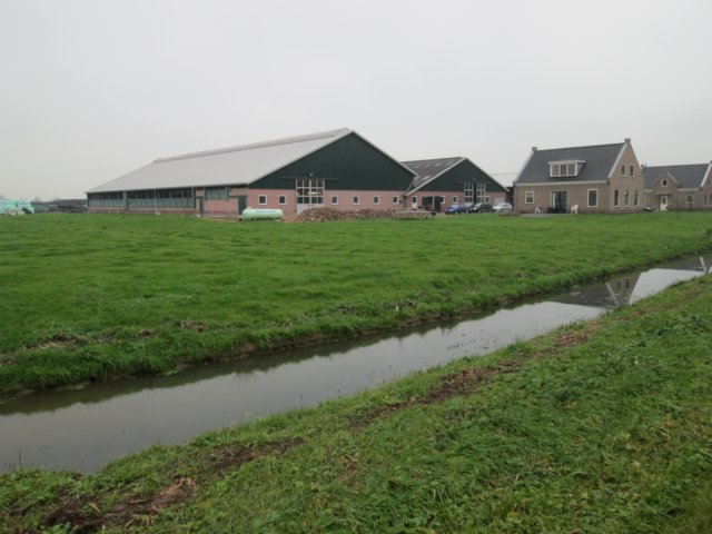 img_4643.jpg