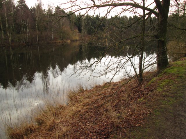 img_7375.jpg