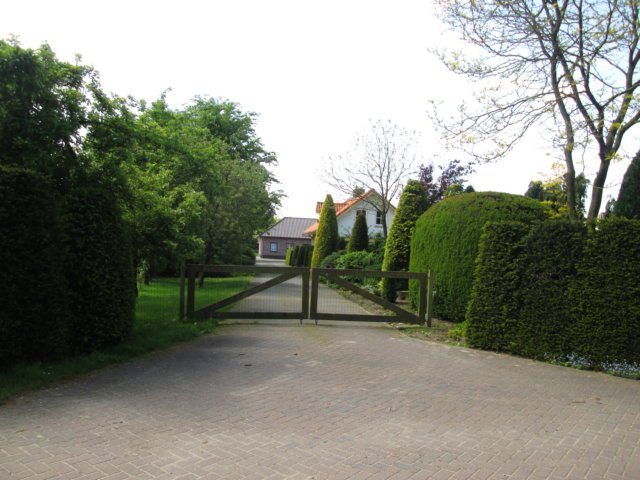 img_9118.jpg