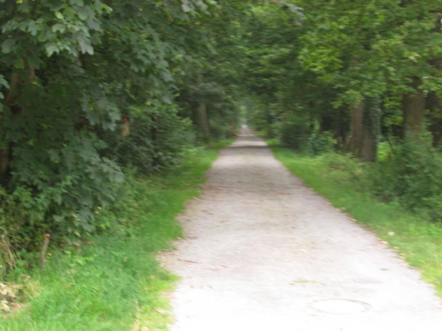img_1547.jpg