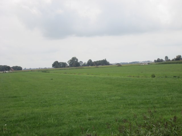 img_2737.jpg