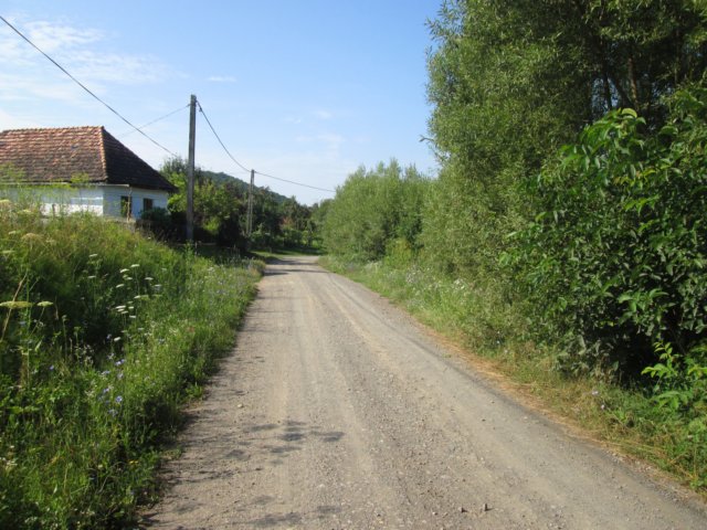 dag5rondeandelingindeomgevingvanmagherani7.jpg