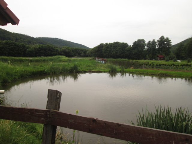 dag7rondwandelingindeomgevongvancampoucetatiii11.jpg