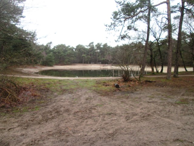 img_6537.jpg