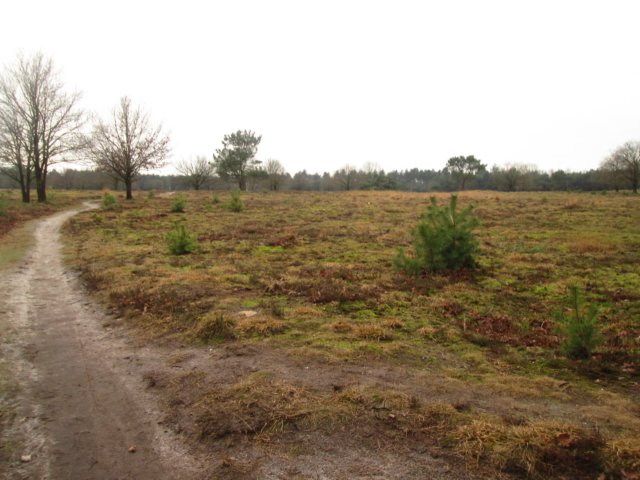 img_6546.jpg