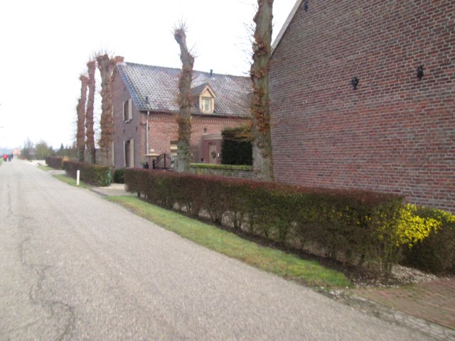 img_6122.jpg