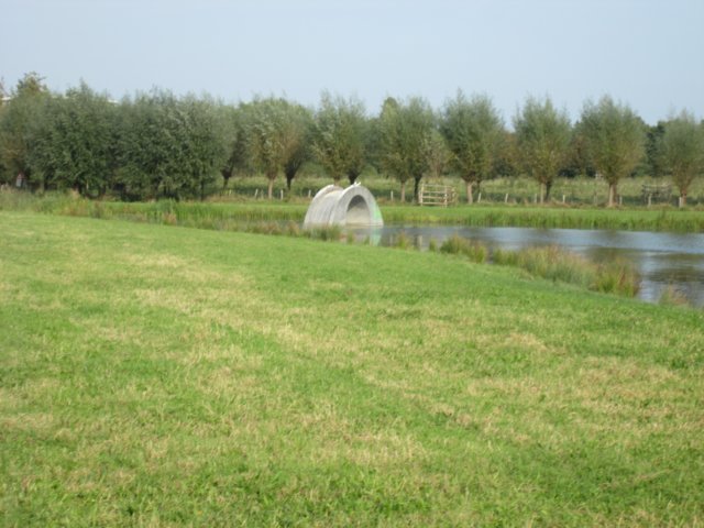 img_3167.jpg