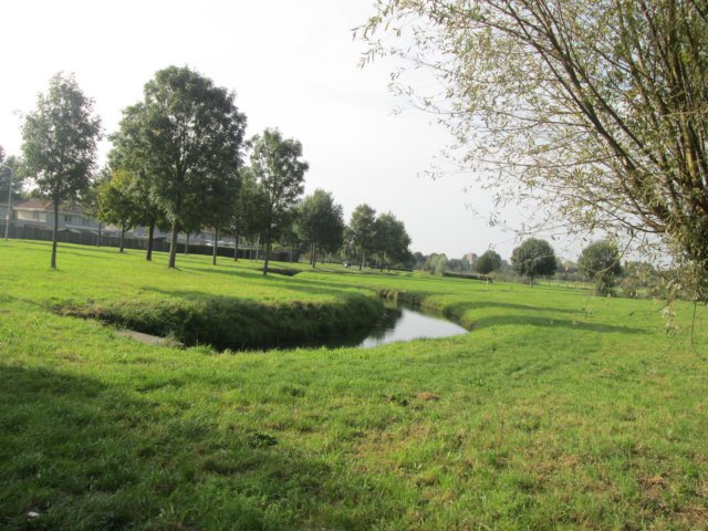 img_3173.jpg