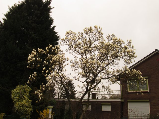 img_7734.jpg