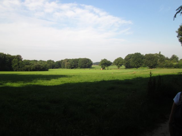 img_2005.jpg