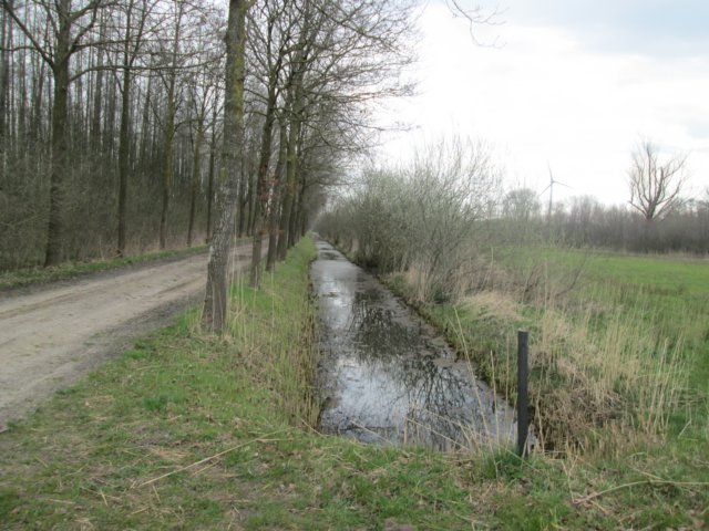 img_6900.jpg