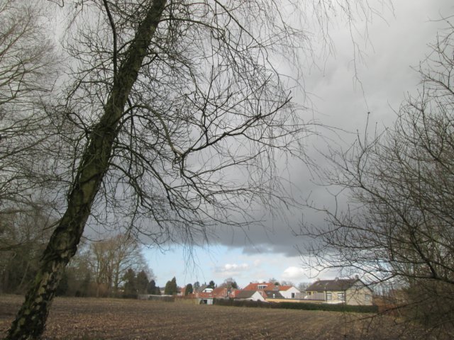 img_6323.jpg