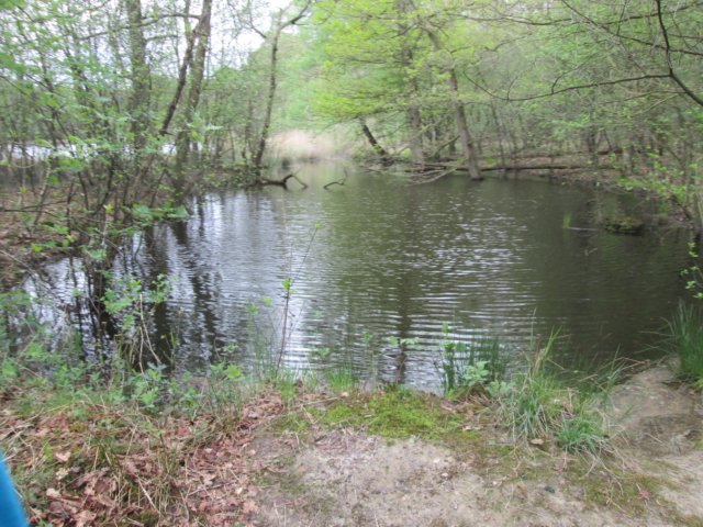 img_7316.jpg
