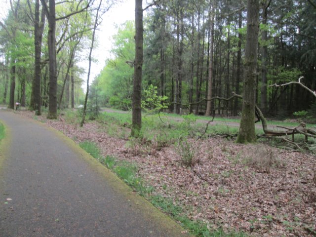 img_7337.jpg