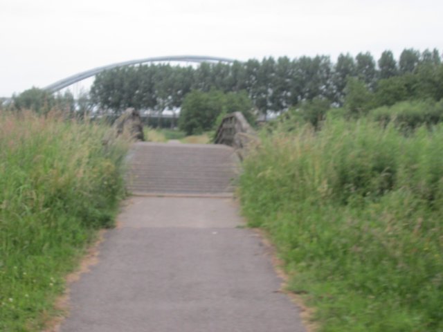 img_7795.jpg